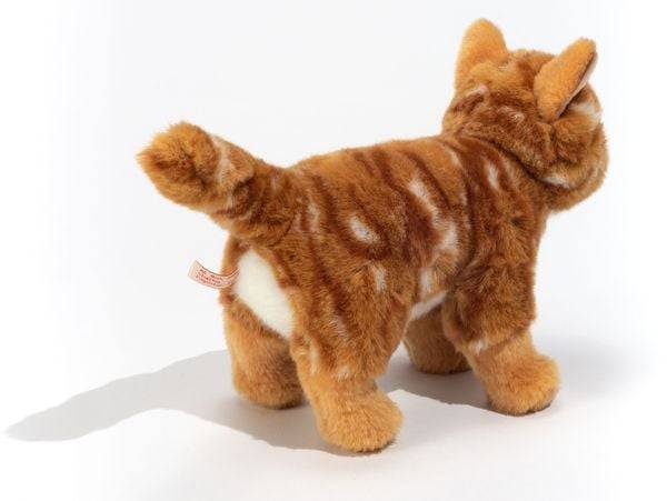 Katze, stehend, rot