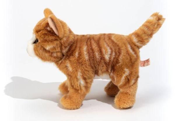 Katze, stehend, rot