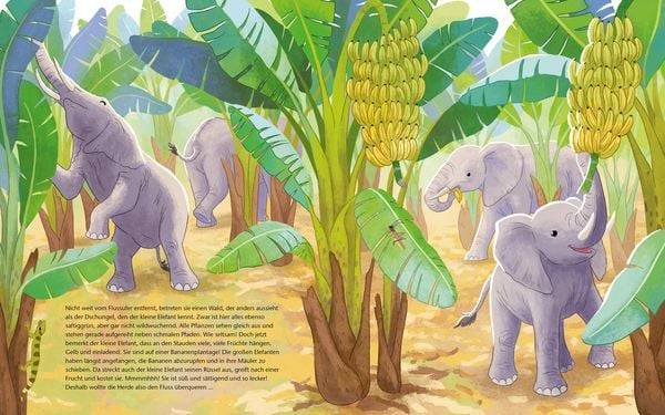 Der kleine Waldelefant - Zu Hause in Afrika