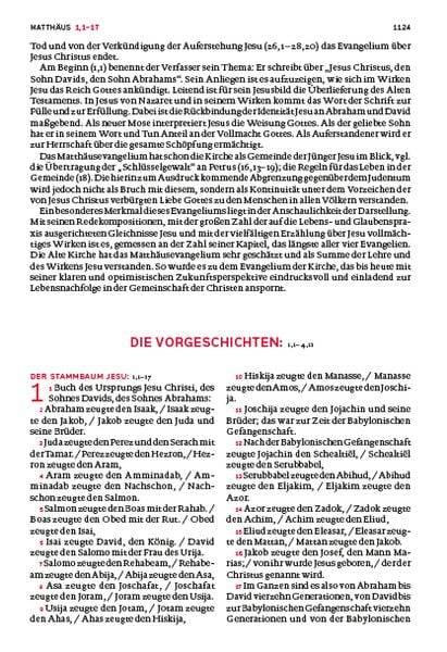 Die Bibel. Großdruck. Mit Familienchronik.