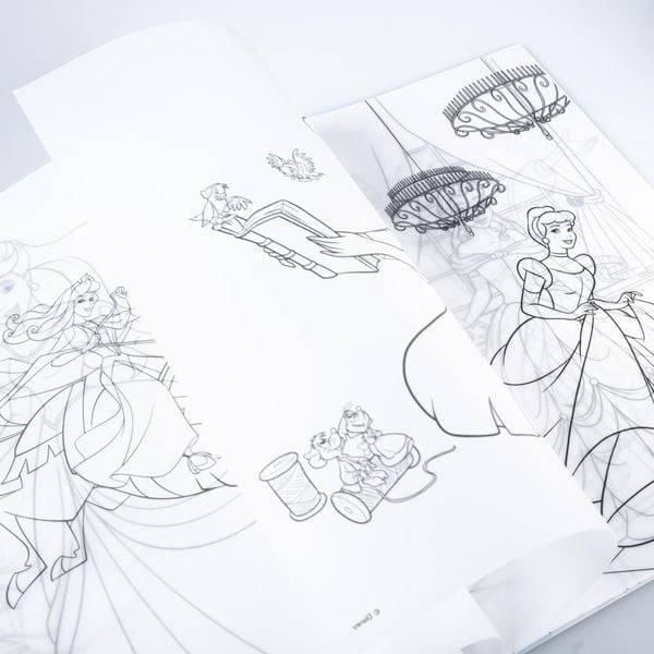Disney Prinzessin: Mein Fenstermalbuch