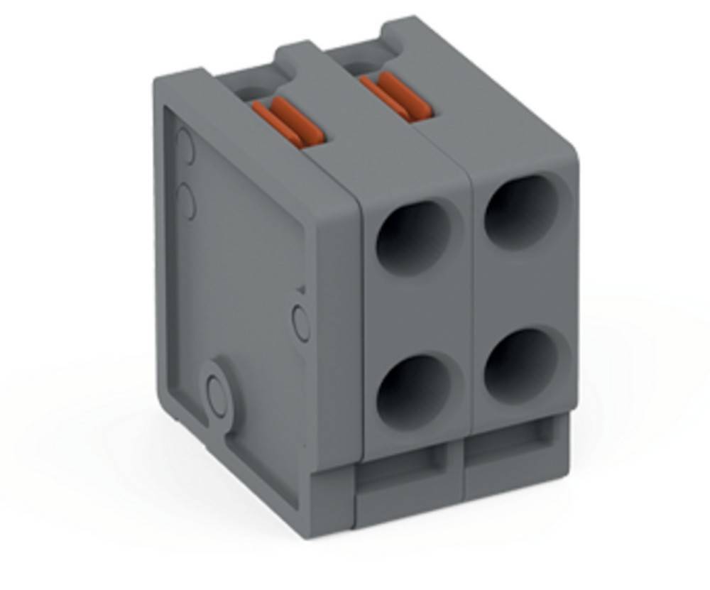WAGO GmbH & Co. KG 2-Leiter-Federleiste 252-302