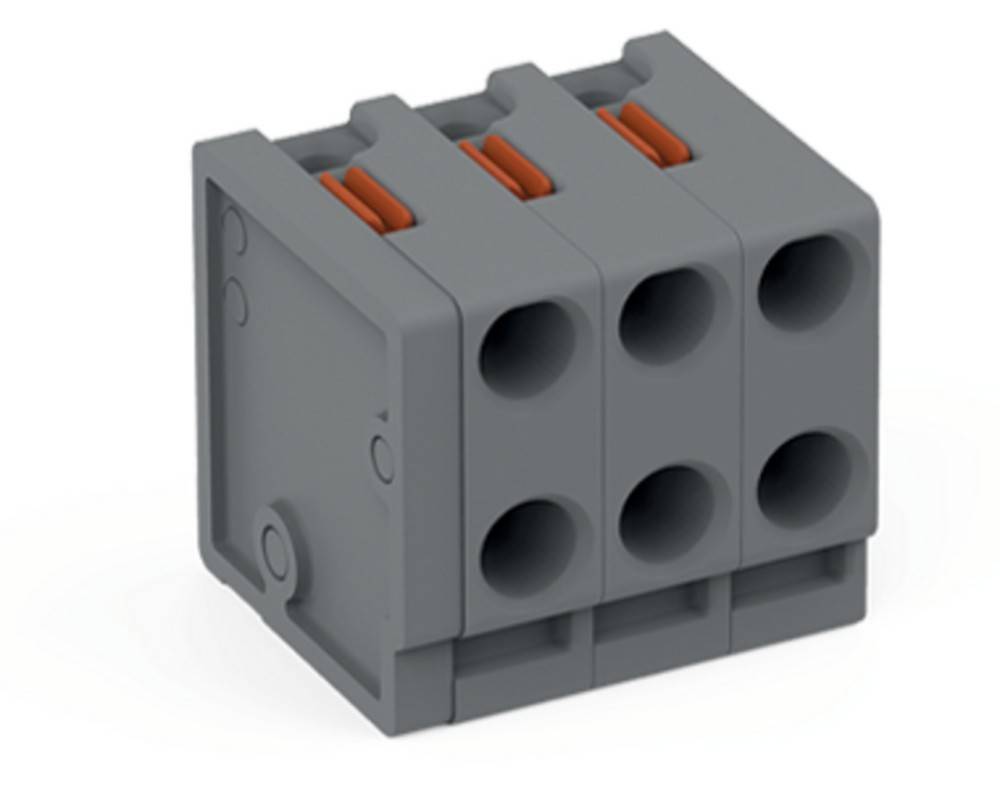WAGO GmbH & Co. KG 2-Leiter-Federleiste 252-303