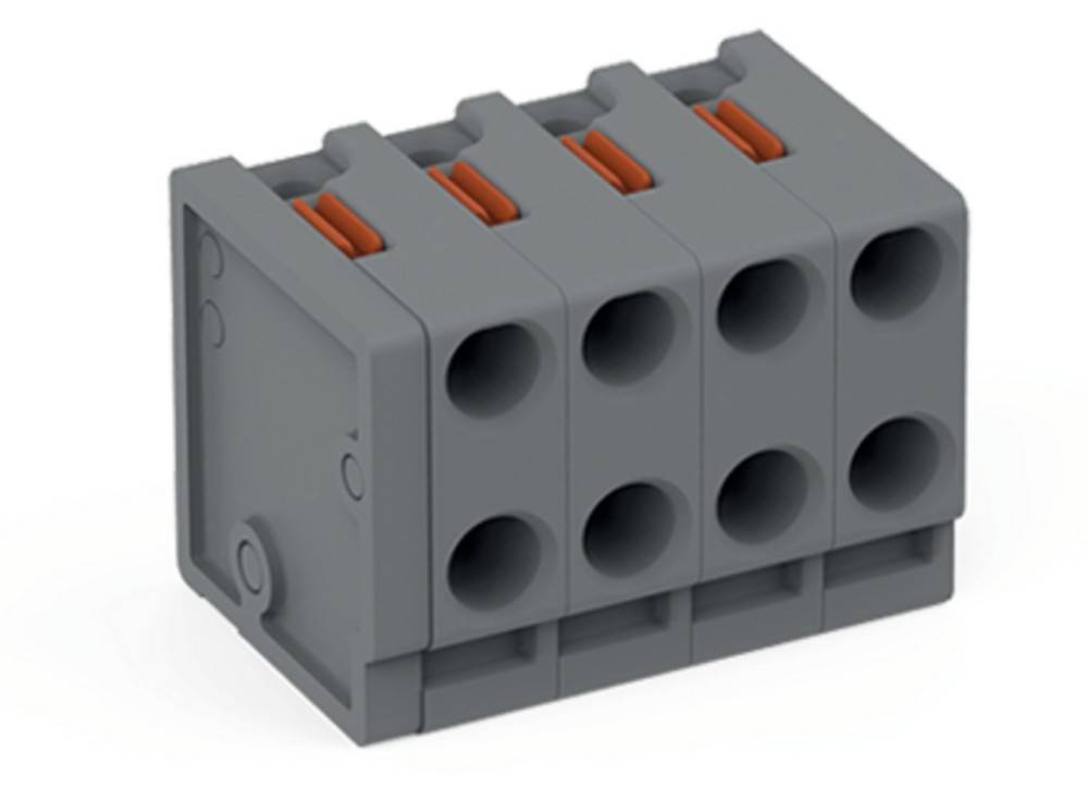 WAGO GmbH & Co. KG 2-Leiter-Federleiste 252-304