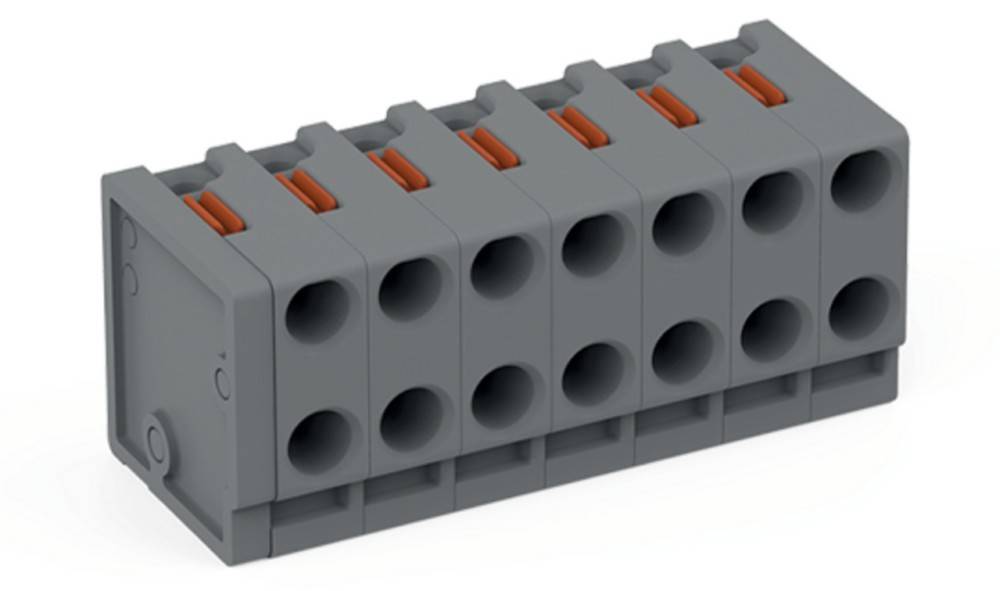 WAGO GmbH & Co. KG 2-Leiter-Federleiste 252-307