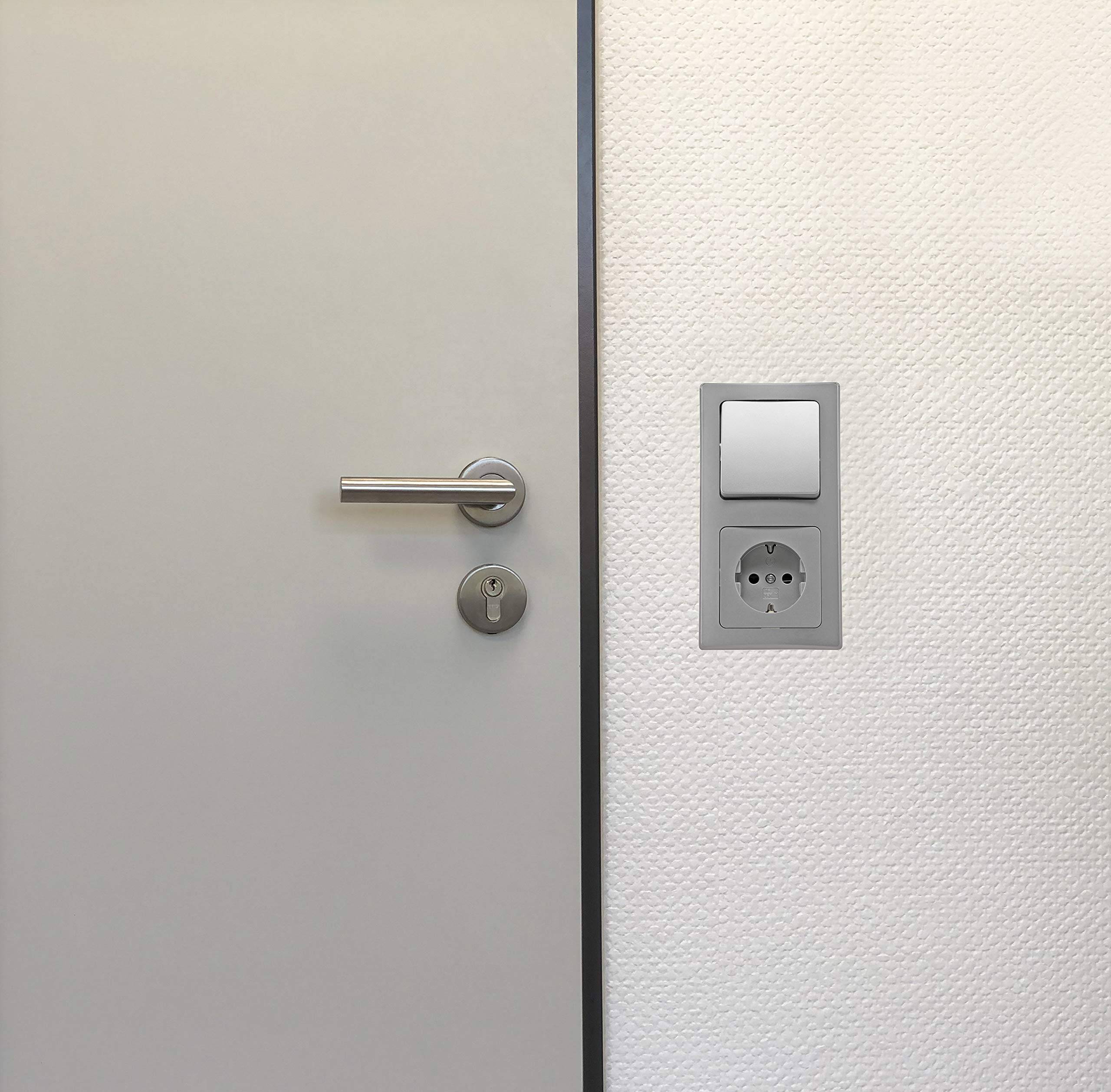 Delphi Steckdose mit Lichtschalter Kombination - 250V Schutzkontakt Steckdose mit Wechsel-Schalter 2-Fach Rahmen I Unterputz Einbau I Farbe Silber