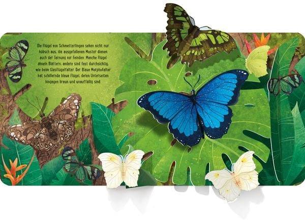Mein erstes Pop-up-Buch: Schmetterlinge