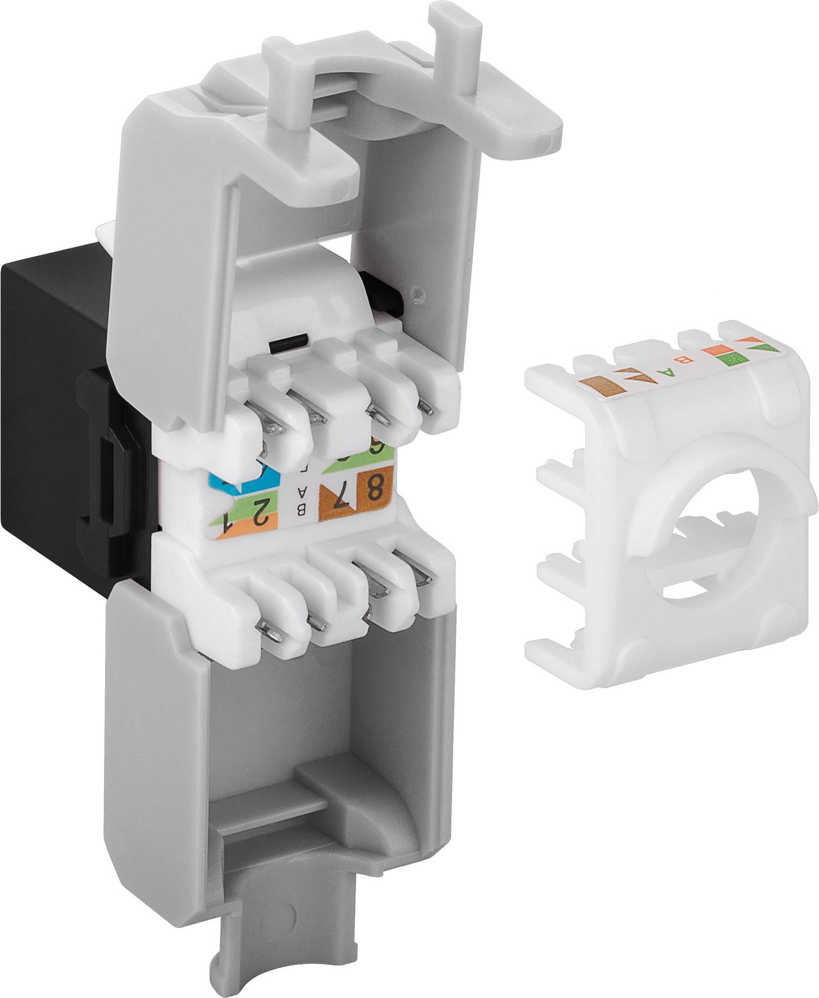 Danicom - CAT6a UTP Keystone Netzwerkstecker - Toolless- Schwarz