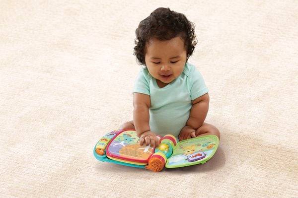 Vtech Baby - Mein erstes Liederbuch bunt