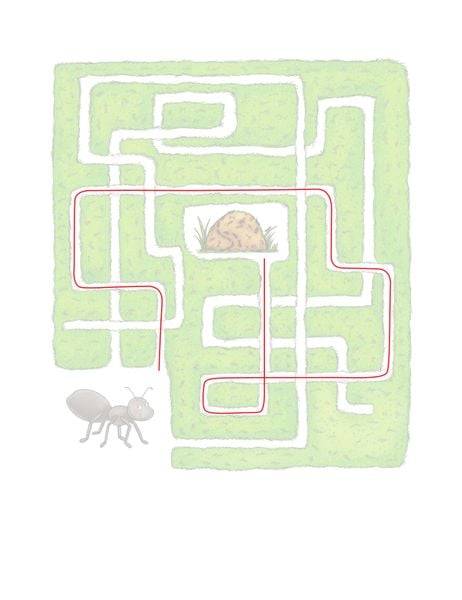 Mein Vorschulblock - Logisches Denken und Konzentration