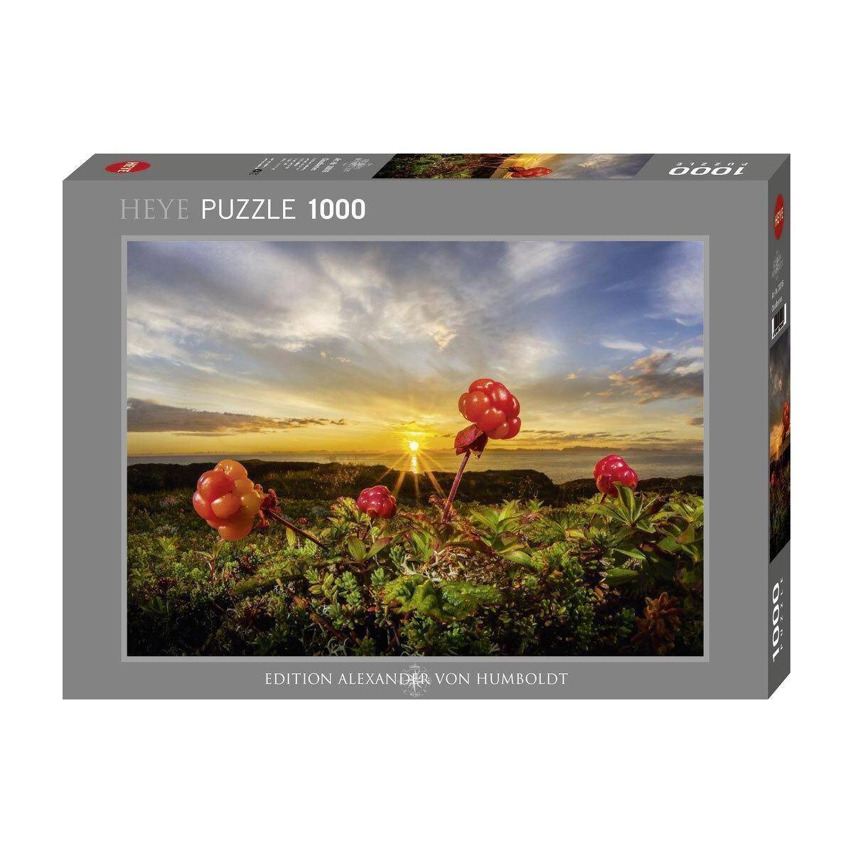 300166 - Cloudberries