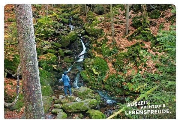 52 kleine & große Eskapaden im Bayerischen Wald