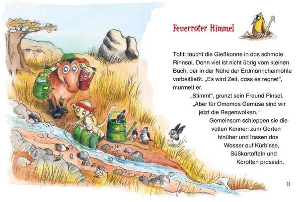 Tafiti und das große Feuer (Band 8)