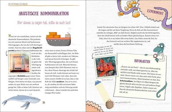 Wie Tiere sprechen - und wie wir sie besser verstehen