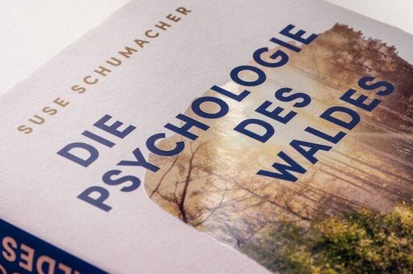 Die Psychologie des Waldes