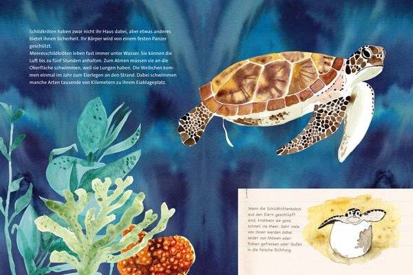 Die unglaublichen Meereswunder