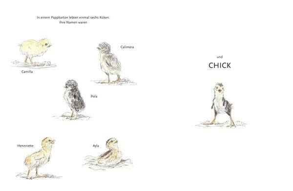 Chick