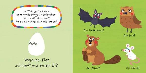 Mein buntes Quiz - Der Wald