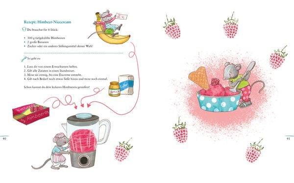 Picknickzeit und Himbeereis