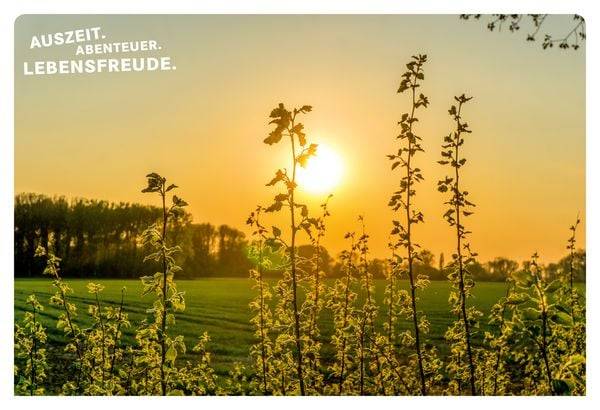 52 kleine & große Eskapaden in und um Düsseldorf