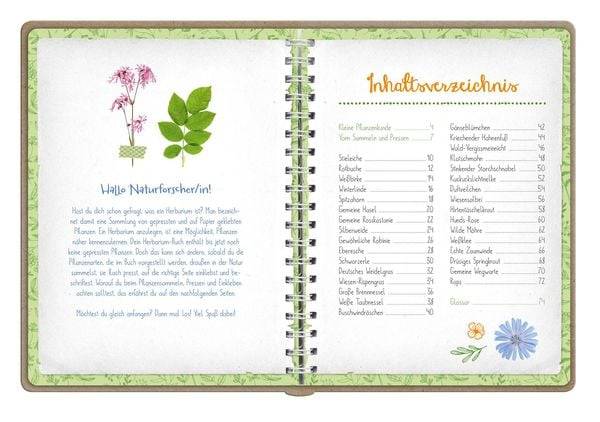Naturforscher-Kids – Blüten und Blätter entdecken und sammeln