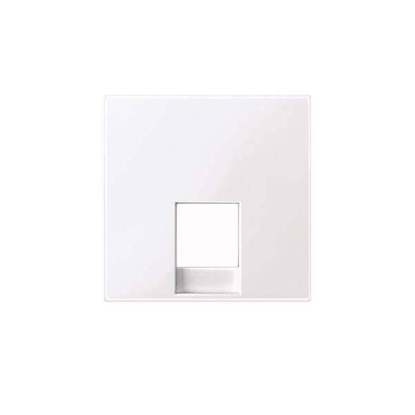 5 Stk. Merten Zentralplatte aws/gl MEG4211-0325