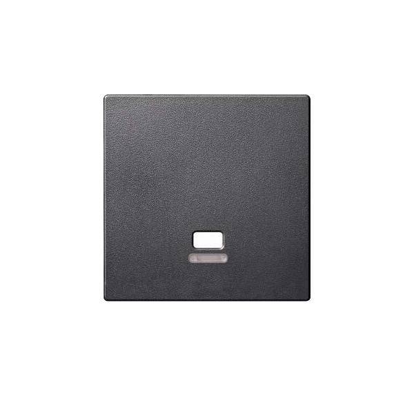 5 Stk. Merten Zentralplatte Zugsch.anth MEG3380-0414