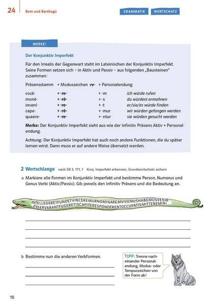 Pontes 3 Gesamtband (ab 2020) - Das Trainingsbuch zum Schulbuch 3. Lernjahr