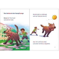 Leselöwen 1. Klasse - Das geheime Gold der Zwerge Leselöwen 1. Klasse - Das geheime Gold der Zwerge