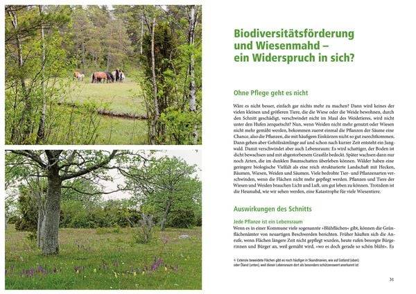 Die Rasen-Revolution