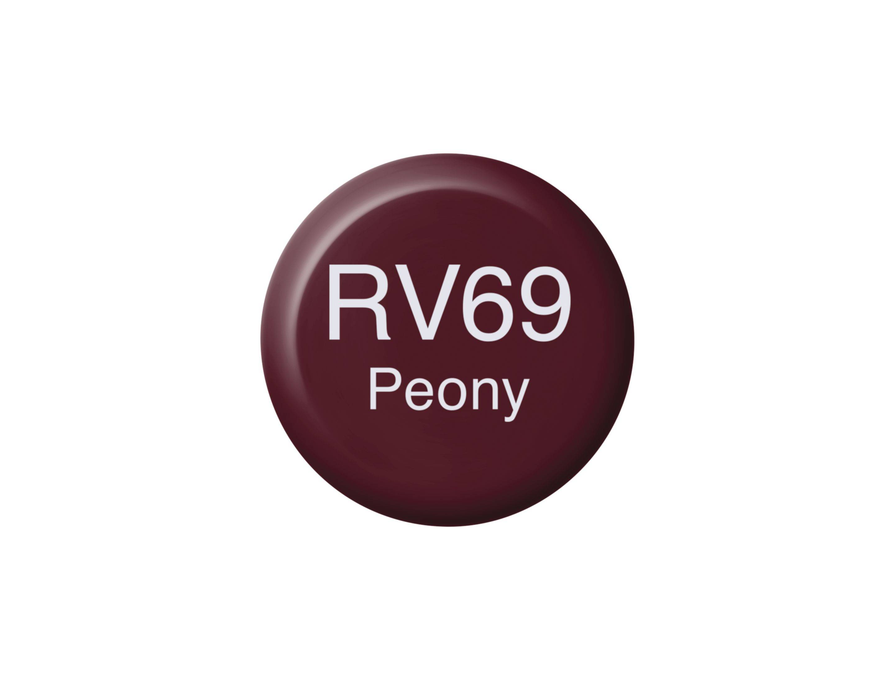 Copic Ink Typ RV - 69