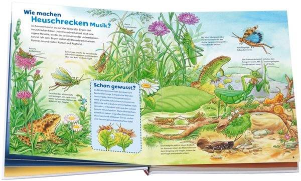 WAS IST WAS Junior Band 33. Insekten