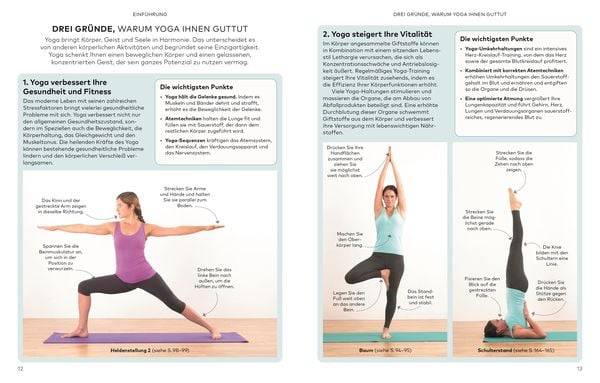 Die kleine Yoga-Schule