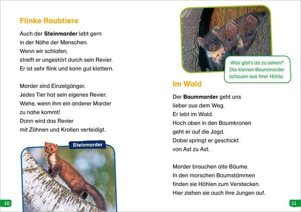 WAS IST WAS Erstes Lesen easy! Band 17. Tiere in der Nacht