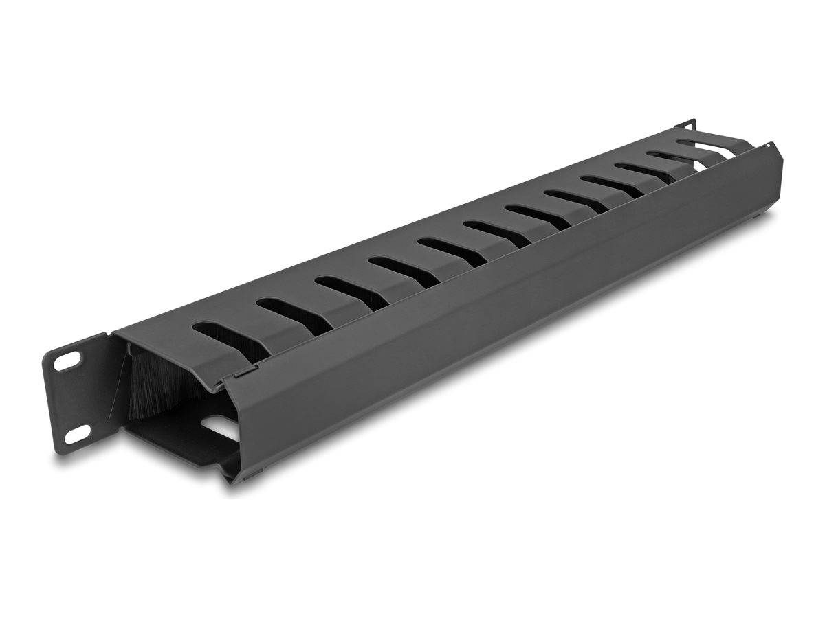 Delock - Verlegetafel für Rack-Kabelmanagement - mit Bürste, 2 Öffnungen - Schwarz - 1U - 48.3 cm (19"")