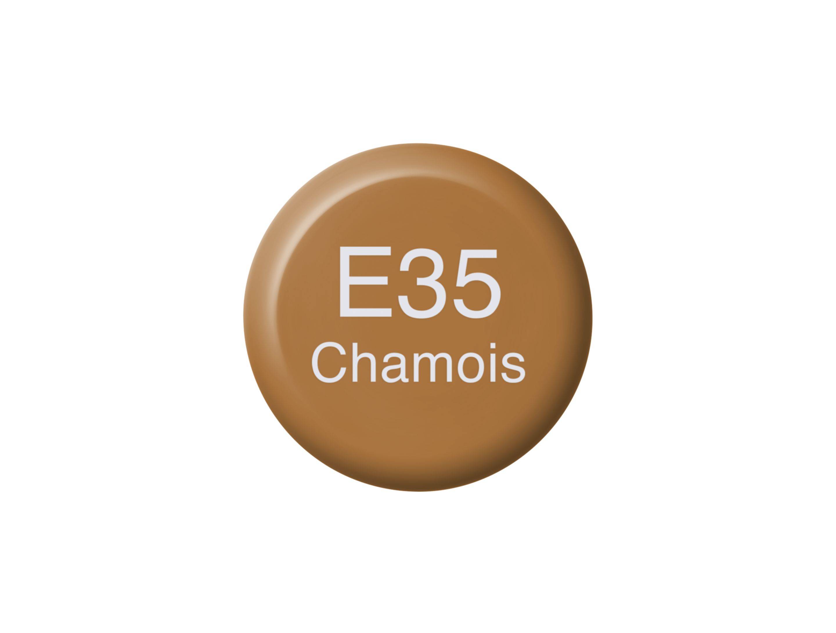 Copic Ink E35