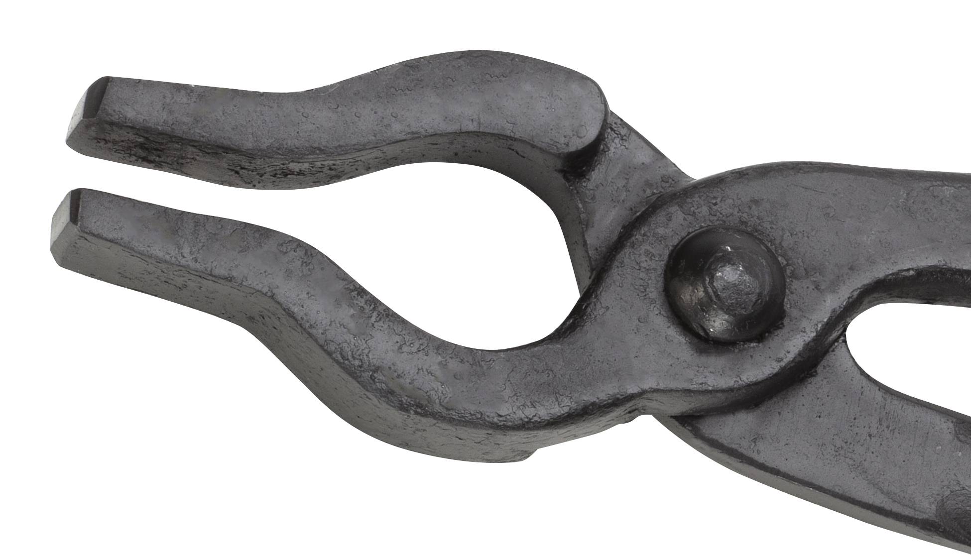 PICARD Dornzange 300 mm Nr. 49c