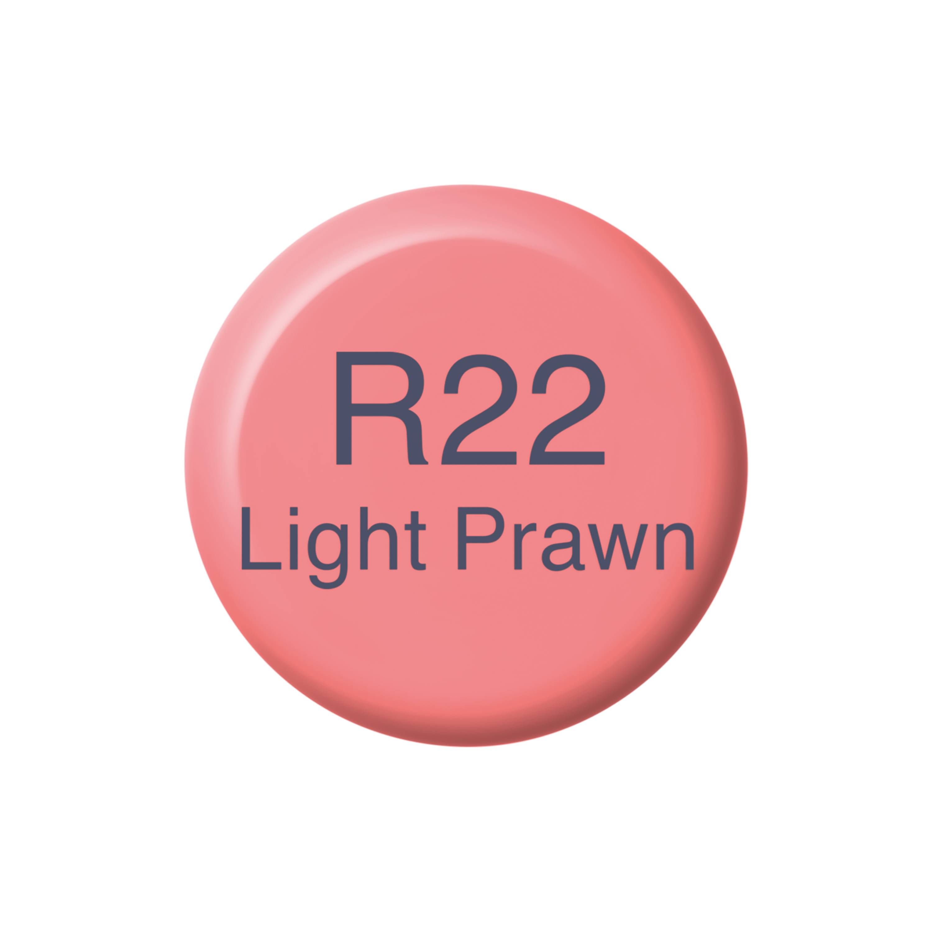 Copic Ink R22