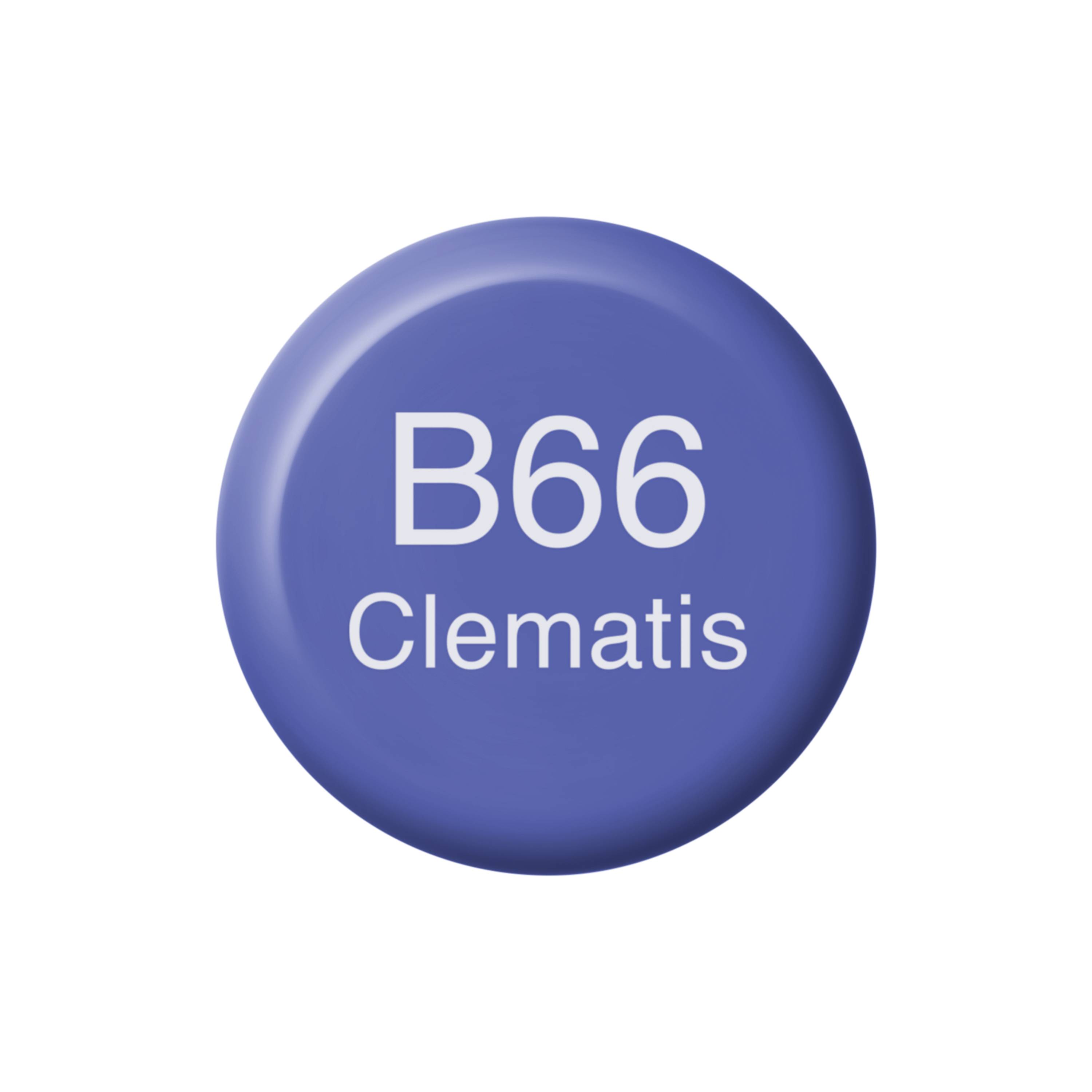 Copic Ink Typ B - 66