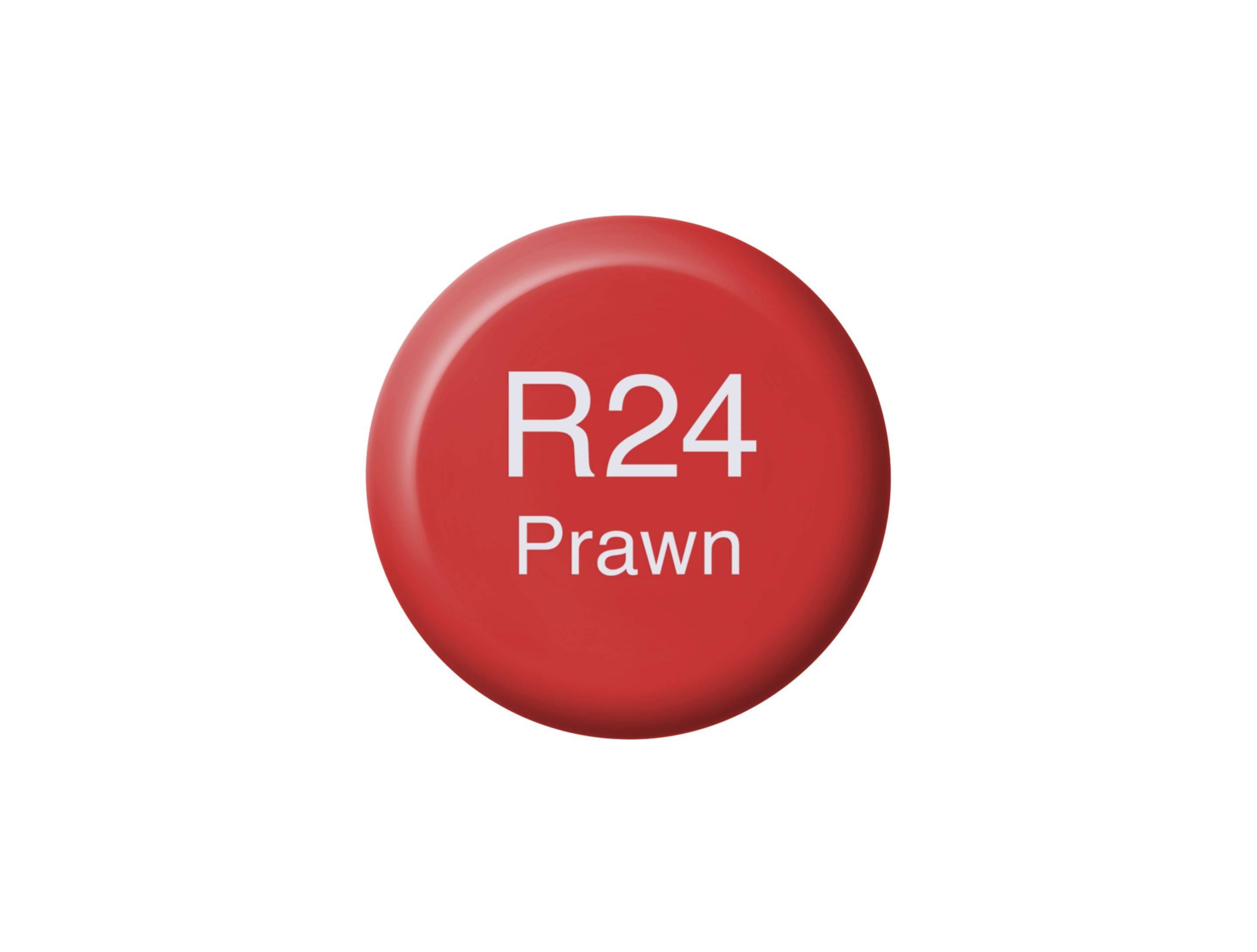 Copic Ink R24
