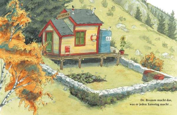 Dr. Brumm: Dr. Brumm versteht das nicht