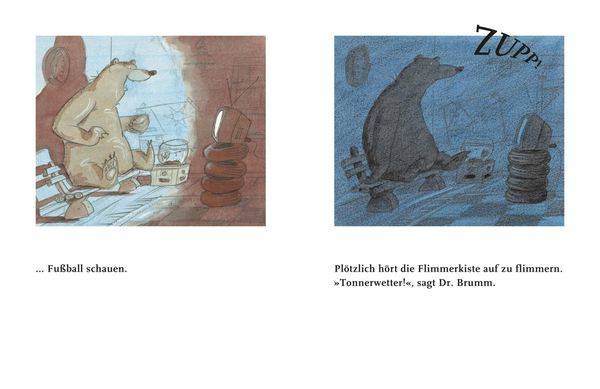 Dr. Brumm: Dr. Brumm versteht das nicht