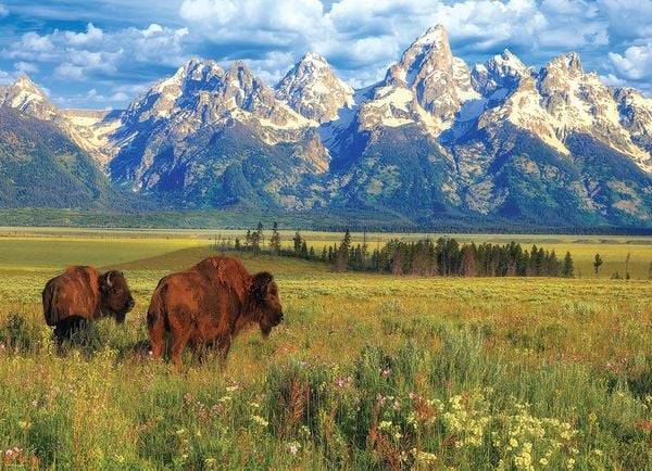 Eurographics 6000-5474 - Grand Teton National Park, Wyoming USA, Puzzle, 1000 Teile