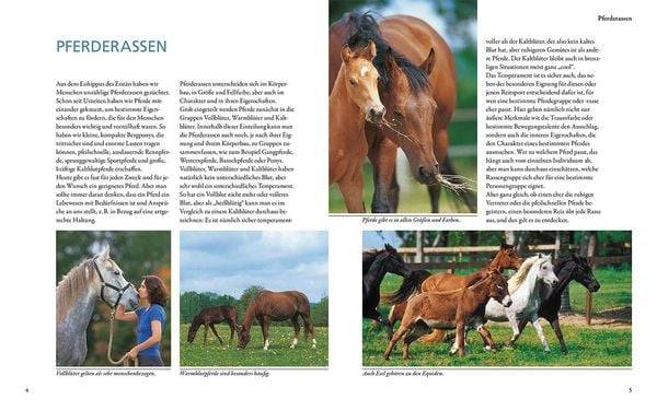 Pferderassen