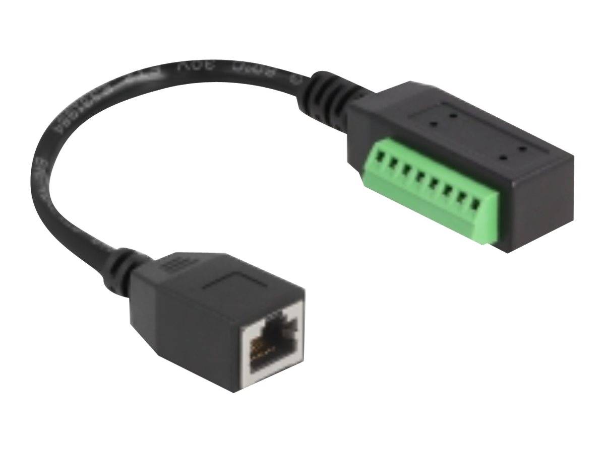 Delock Netzwerkadapter - 8-polige Anschlussleiste (M) - zu RJ-45 (W) - 21.5 cm -