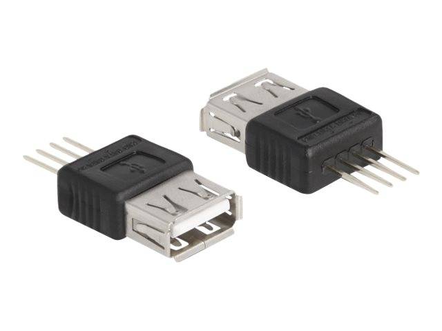 Delock USB-Adapter - 4-polig (M) zu USB (W) - USB 2.0 - 5 V - 500 mA