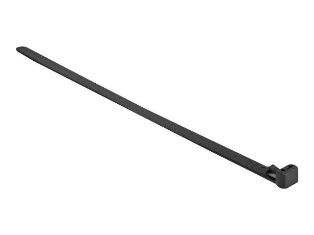 Delock Kabelbinder - heat resistant, reusable - 15 cm - Schwarz (Packung mit 100