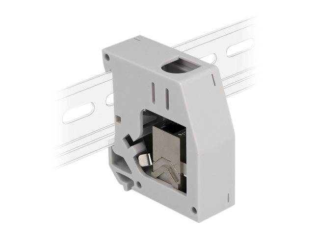 Delock DIN-Schienenmontageadapter - mit Keystone-Modul - CAT 6a - STP - RJ-45 -