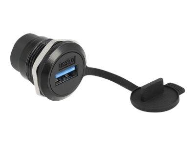 Delock Einrastmodul - USB 3.2 Gen 1 with protective dust cap - USB - 1 USB-Ansch