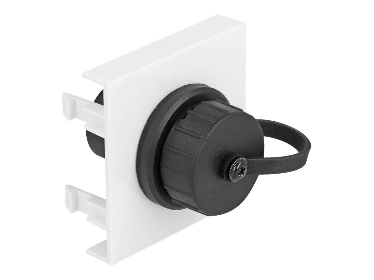 Delock Easy 45 - Einrastmodul - SuperSpeed 5 Gbps (3.2 Gen 1) - Typ A Buchse - 4